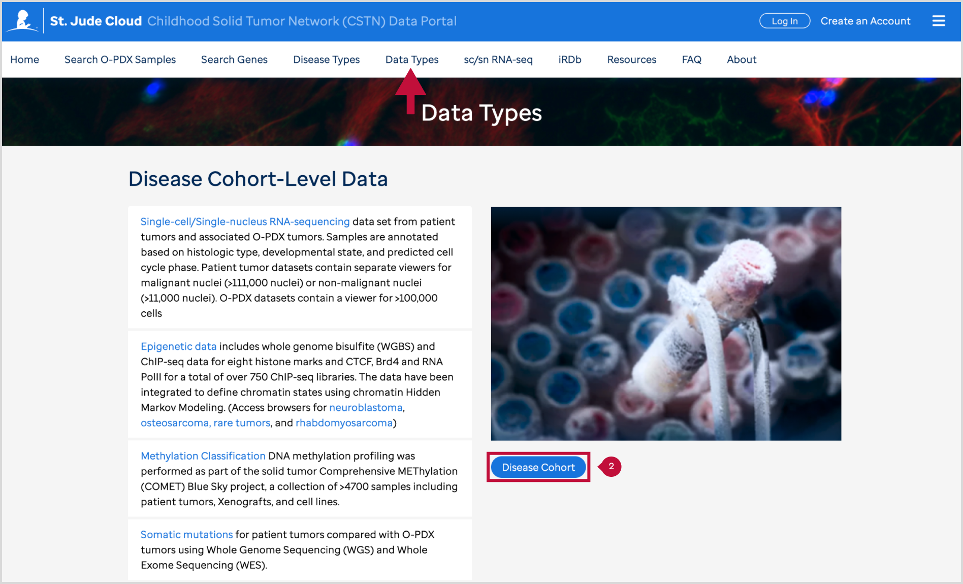 Disease cohort - Screenshot